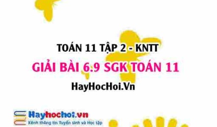 Bài 6.9 SGK Toán 11 Tập 2 Kết nối tri thức